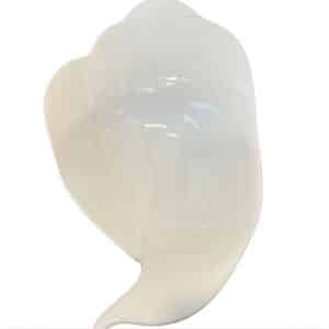 Arabia koriste­malja lintu